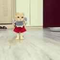Cat_.webm