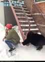 7867868.webm