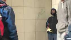 NightNightAltRight.webm