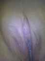 pussy 001.jpg