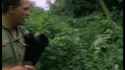 Detroit dad attacks Cop arresting his son.webm