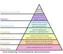 logical fallacies pyramid.png