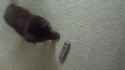 20171111_091131.jpg