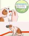 pill_that_one.jpg