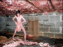 bacon.jpg