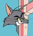 that fucking cat.jpg