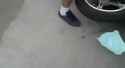 1512445268650.webm