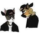 furry_columbine_by_14duckmin88-d9gc7sb.jpg