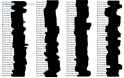 1488292880307.png
