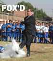 U foxed.jpg