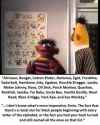 ernie.jpg