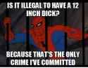spidey2.jpg
