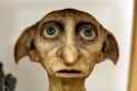 dobbie (1).jpg
