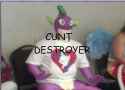 CuntDestoryer.png