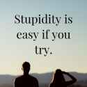 Stupidy is easy if you try.jpg
