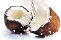 coconut2.jpg