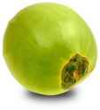 green.jpg
