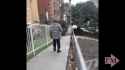 1524405435947.webm