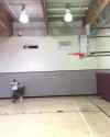 1524406026793.webm