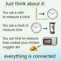 nuggies make sense.png