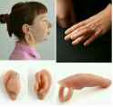 fingie.png