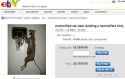ebay win.jpg