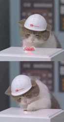 mEWpCaV.jpg