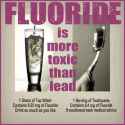 fluoridevslead.jpg