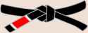 220px-BJJ_BlackBelt.svg.png