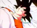 Sleep tight Goku.png