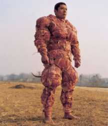meat-armor.jpg