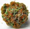 664b8d983f371b1289b256466523130f--weed-strains-weed-buds.jpg