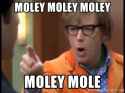 moley-moley-moley-moley-mole.jpg