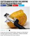 Man_in_Custody_for_Carrying_Potato_Peeler_in_Public_Place_-_2018-05-03_15.19.24.png