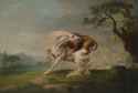 George Stubbs - A Lion Attacking a Horse (1765).jpg