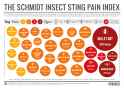The-Schmidt-Insect-Sting-Pain-Index-Update.png
