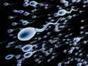 10-sperm-cell-istock.jpg