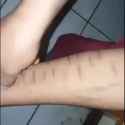 1517732938016.webm