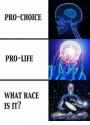 pro-choice-pro-life-what-race-is-it-18533468[1].png