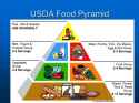 USDA+Food+Pyramid.jpg
