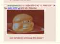 Screen Shot 2018-05-13 at 23.42.57.png