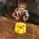 1526706096656.webm