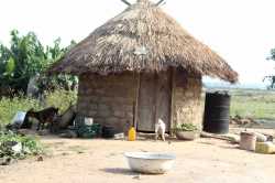 vibranium mud hut.jpg