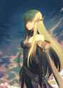 Code_Geass_CC_Painting_Below_Epic_Sky_Imperial_Suit_Empress_Superior_waifu2x.png