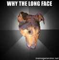 why-the-long-face.jpg